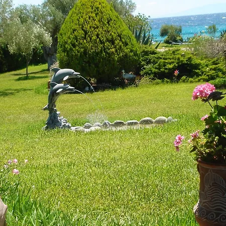 Evi Nea Skioni